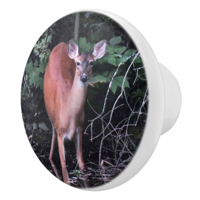 Deer Drinking at Forest Pond Ceramic Knob