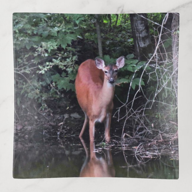 Deer Drinking at Forest Pond Trinket Tray