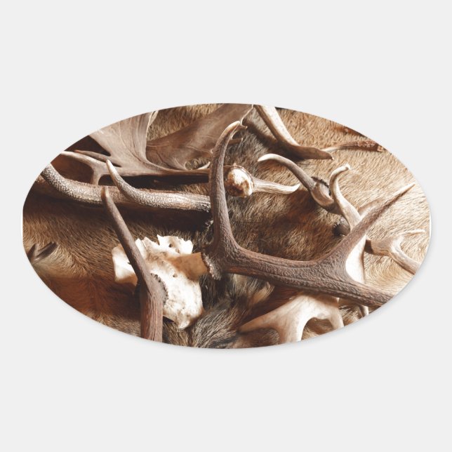 Deer Elk Moose Antlers Hunting Gift Ideas Hunters Oval Sticker (Front)