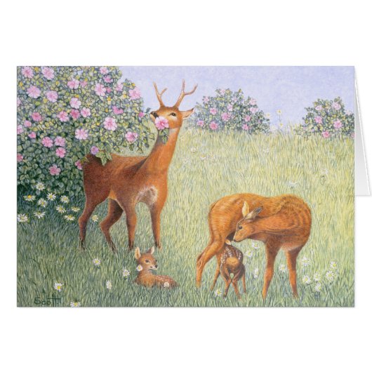 Deer Family Cards (Front Horizontal)