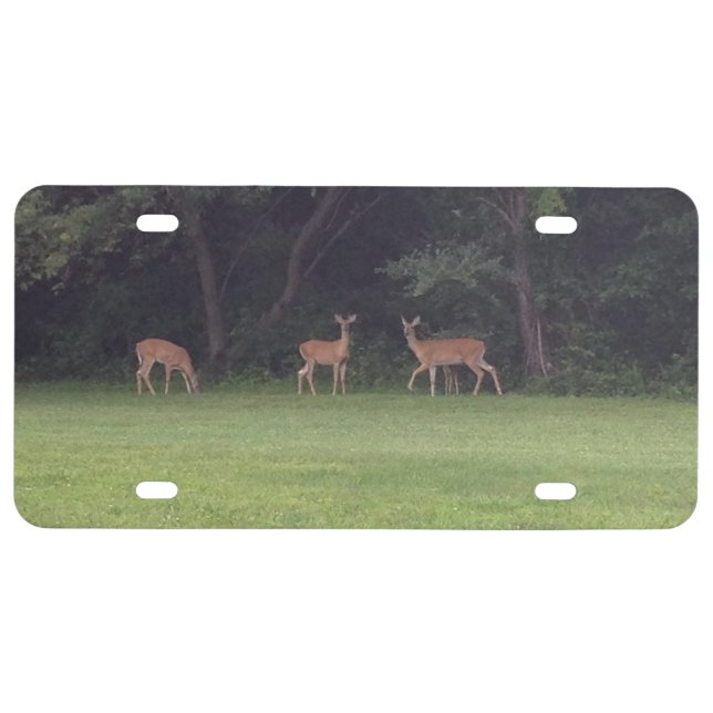 Deer Family License Plate (Front)