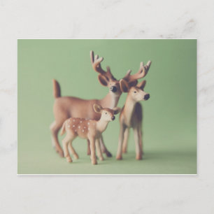 Deer Family Postcard