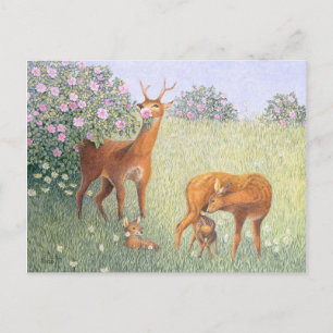 Deer Family Postcard