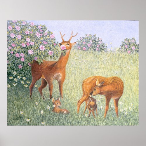 Deer Family Poster