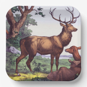 Deer Family Vintage Birthday Party  Paper Plates