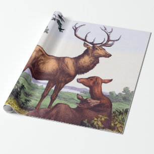Deer Family Vintage Birthday Wrapping Paper
