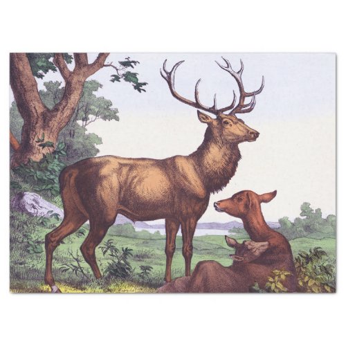 Deer Family Vintage Decoupage Tissue Paper