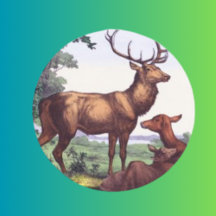 Deer Family Vintage Round Sticker