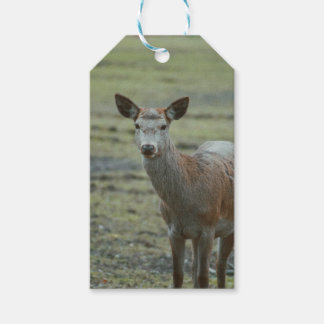 Deer gift tags