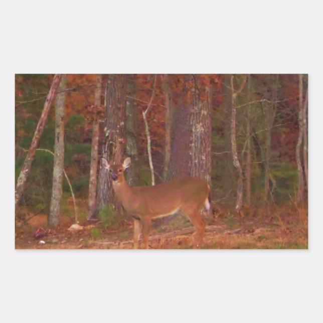 Deer , Green Grass red and Gold leaves Rectangular Sticker (Front)