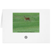 Deer: Habakkuk 3:19 Cards (Back Horizontal)
