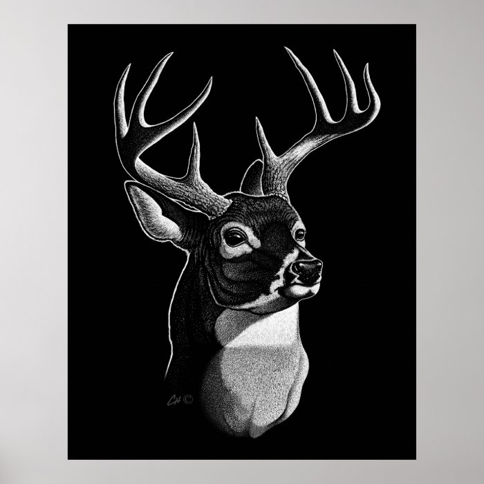 Deer Head Scratchboard style Print