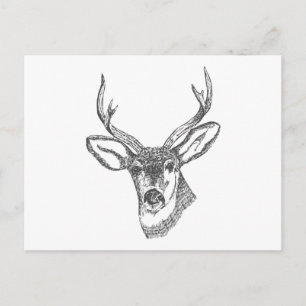 Deer Head Sketch Postcard