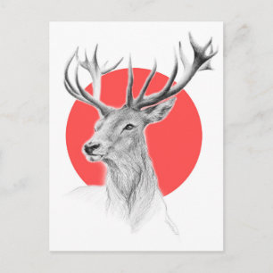 Deer head Stag drawing Red circle Animal art Postcard
