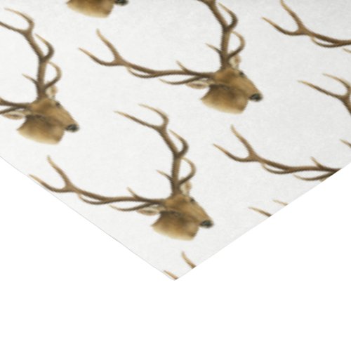 Deer Head with Large Antlers 1 Tissue Paper