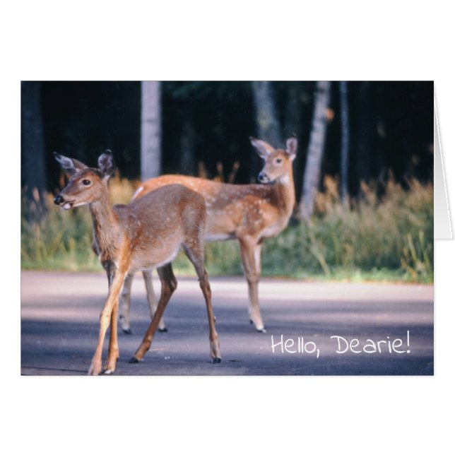 Deer, Hello Dearie Cards (Front Horizontal)