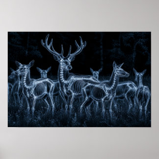 Deer Herd Night X-Ray Poster