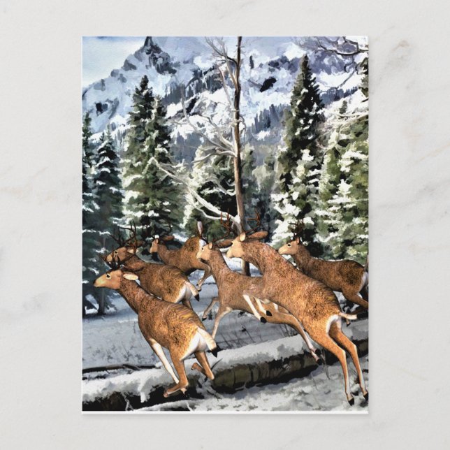 Deer Herd Running in Rocky Mountains Postcard (Front)