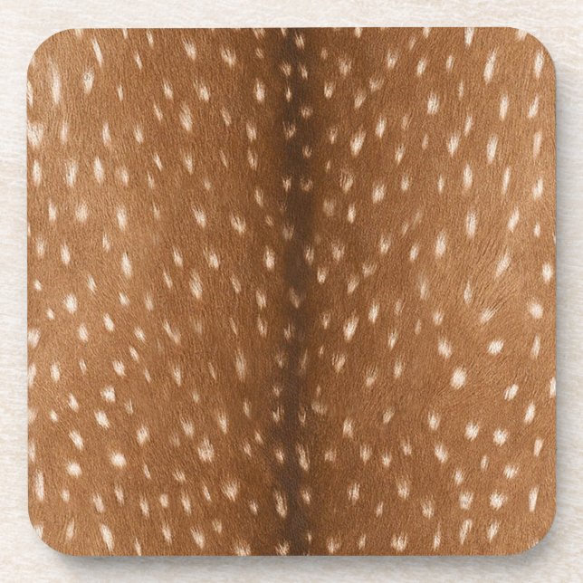 Deer Hide // Coaster (Front)