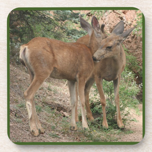 Deer Hugging Beverage Coaster (Front)