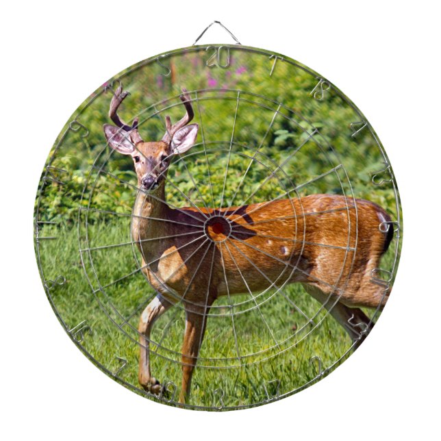 Deer Hunter Dartboard With Darts (Front)