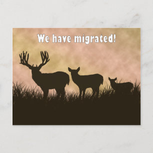 Deer Hunting Notice of Address Change Postcard