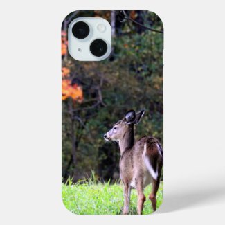 Deer in a Field -Autumn day