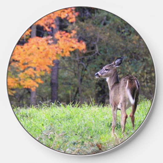 Deer in Autumn Field Wireless Charger (Front)
