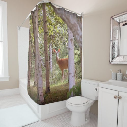 Deer in Birch Trees Shower Curtain
