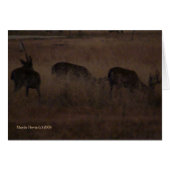Deer in Dry Grass (2a) - Customizable (Front Horizontal)
