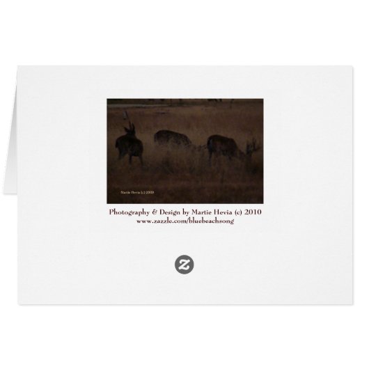Deer in Dry Grass (2a) - Customizable (Back Horizontal)