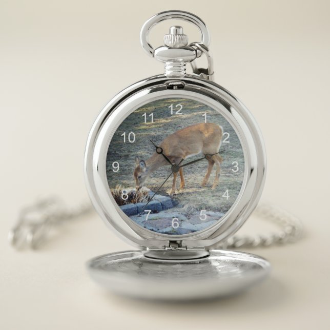 Deer in Early Morning Pocket Watch (Inside)
