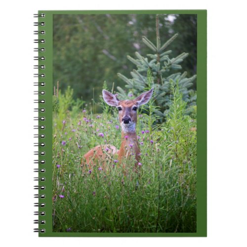Deer in flowery thicket photo notebook