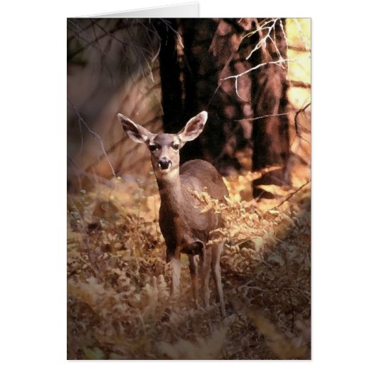 Deer in Forest Cards (Front)