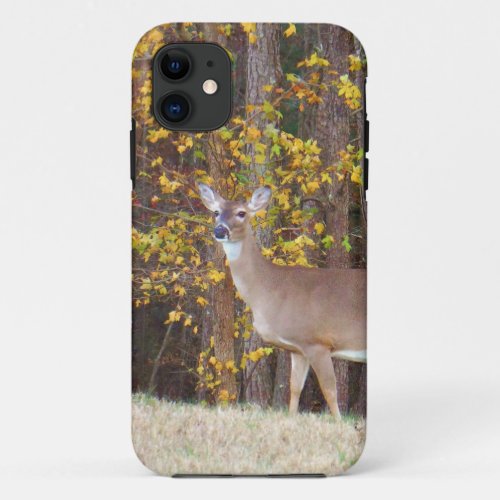 Deer in Front of Yellow Autumn Tree iPhone 11 Case