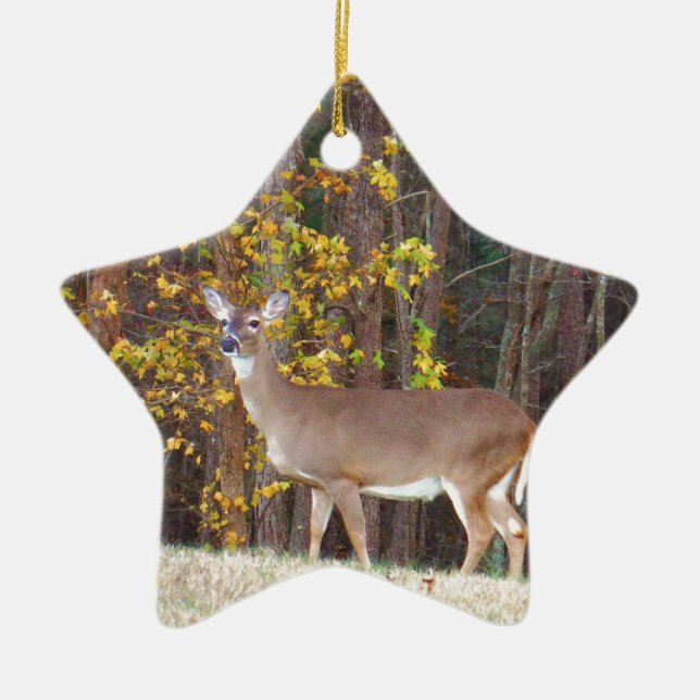 Deer in Front of Yellow Autumn Tree Ceramic Ornament (Front)
