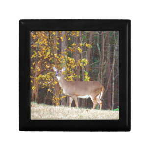 Deer in Front of Yellow Autumn Tree Keepsake Box