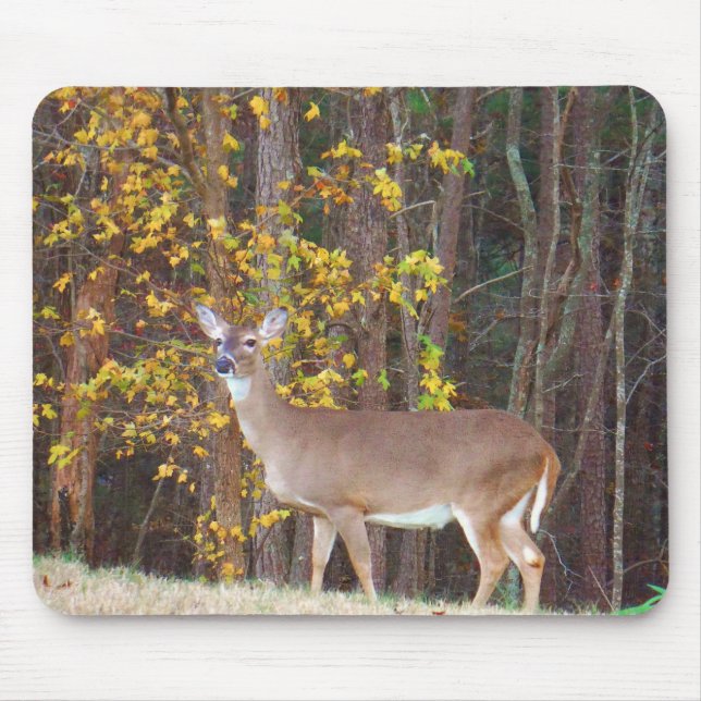 Deer in Front of Yellow Autumn Tree Mouse Pad (Front)