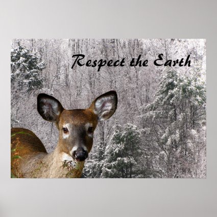 Deer in Frosty Hills Poster