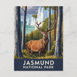 Deer in Jasmund National Park Germany Travel Postcard