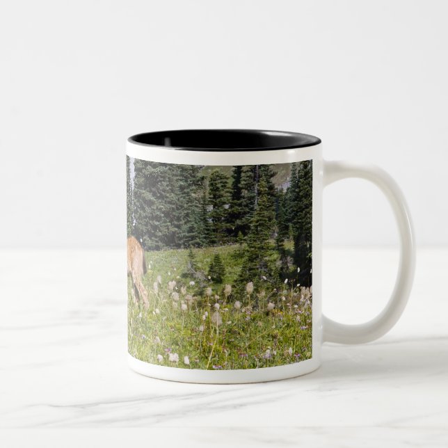 Deer in Paradise Park Two-Tone Coffee Mug (Right)
