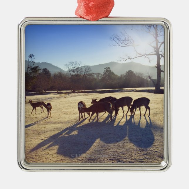 Deer in park in Nara, Nara Prefecture, Japan Metal Ornament (Front)