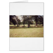 Deer in Richmond Park (Front)