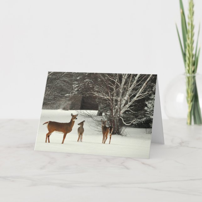 Deer in Snow Greeting Card (Front)