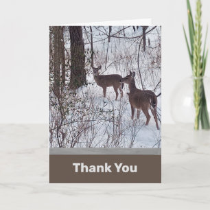 Deer in Snow Photo Thank You Card