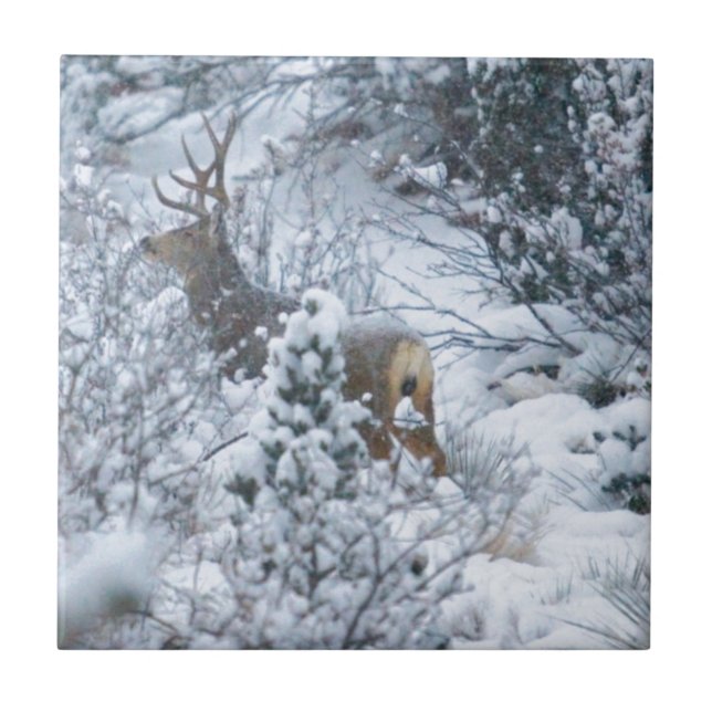Deer in Snow Tile (Front)