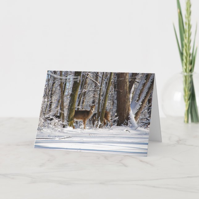 Deer in Snowy Eagle Creek City Park Holiday Card (Front)