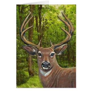 Deer in the Ash Meadow Cards