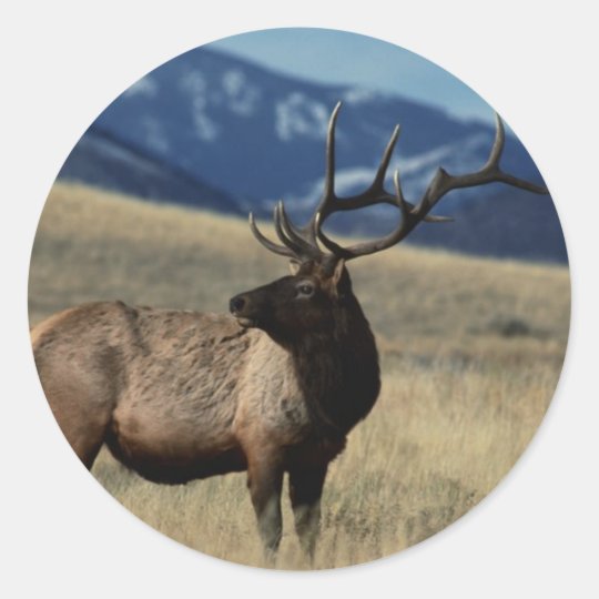 Deer in the Country Classic Round Sticker