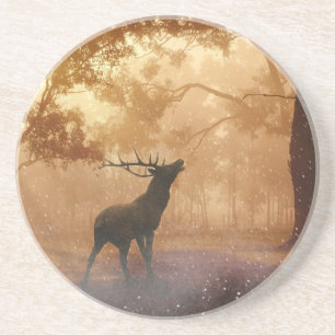 Deer In The Forest Coaster